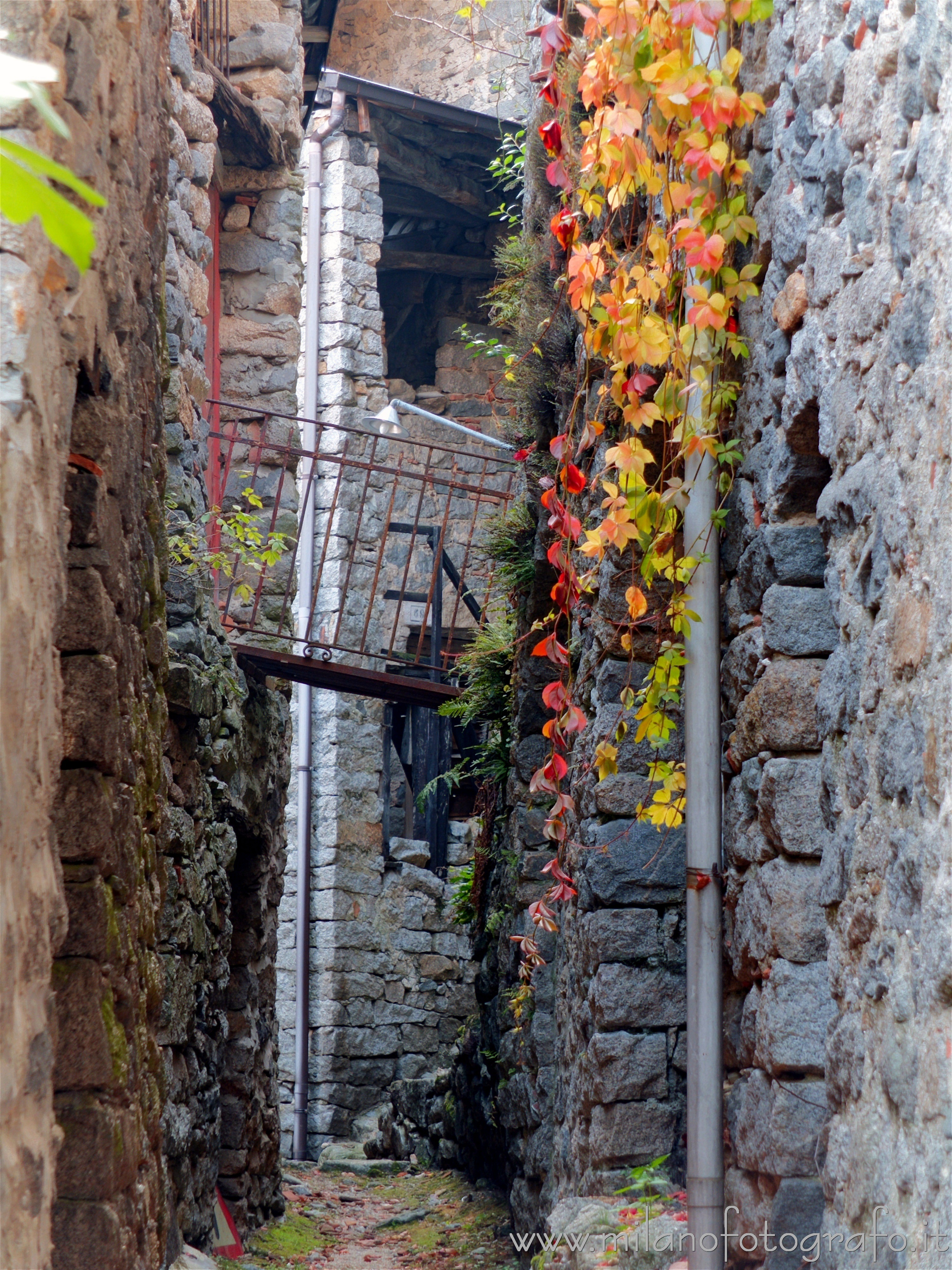 Campiglia Cervo (Biella) - Colori autunnali fra le vecchie case della frazione Sassaia